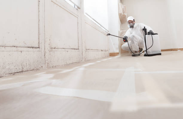 Black mold remediation team in Dallastown